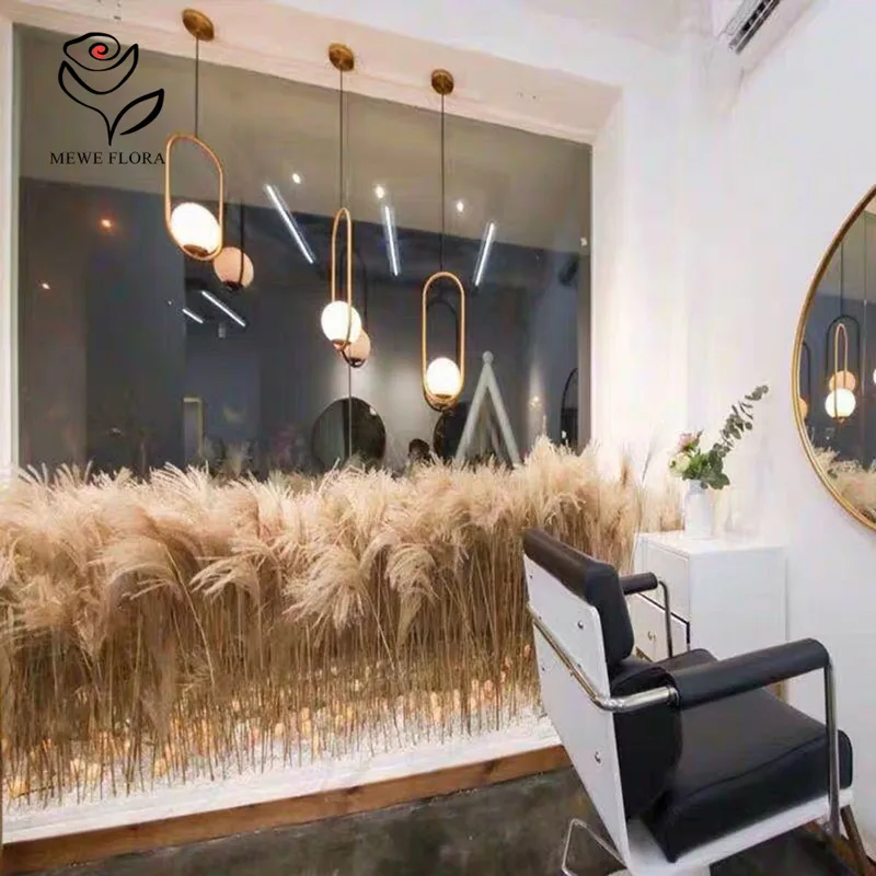 200PCS 자연 건조 푹신한 갈대 꽃 꽃다발 상점 창 - Quiet Luxury Lifestyle 리뷰 및 가격