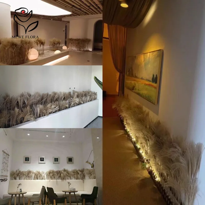200PCS 자연 건조 푹신한 갈대 꽃 꽃다발 상점 창 - Quiet Luxury Lifestyle 리뷰 및 가격